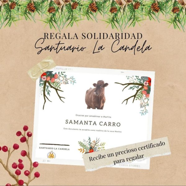 Christmas Sponsorship Certificate