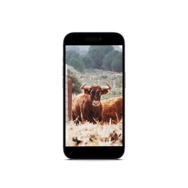 Fondos de pantalla Habitantes